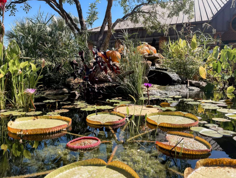 Mercer Botanic Gardens, United States